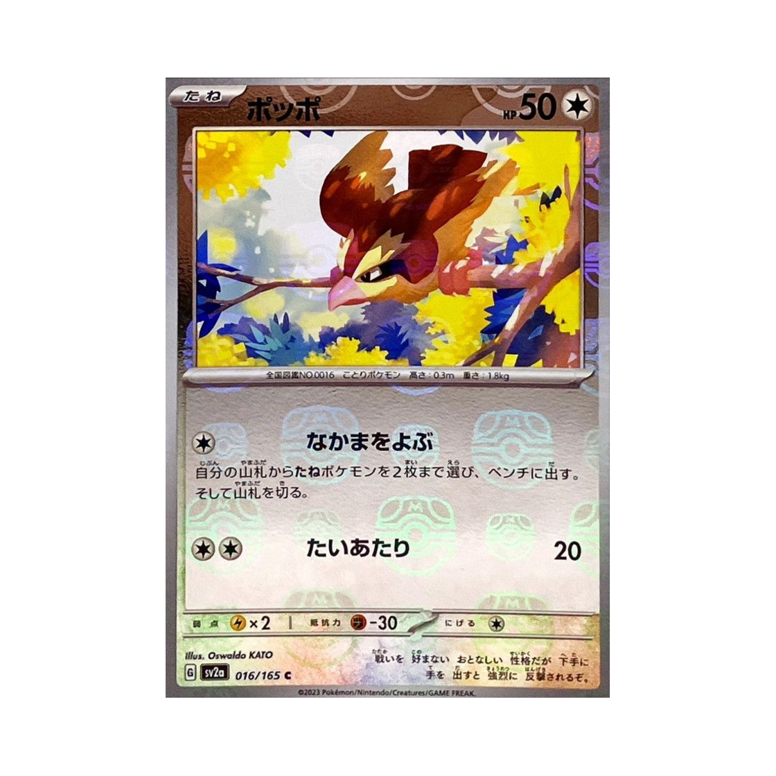 포켓몬 TCG 구구 C 마스터볼 미러 포켓몬 카드 151 (일어판)(Pokemon TCG Pidgey C Masterball Mirror Pokemon Card 151 (Japanese Ver.)) - 1