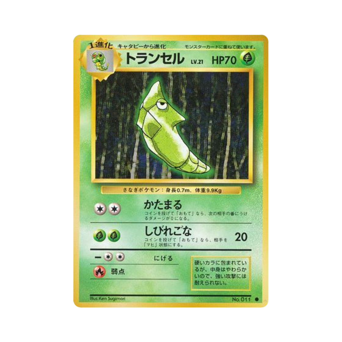 포켓몬 TCG 단데기 C 익스팬션 팩 (일어판)(Pokemon TCG Metapod C Expansion Pack (Japanese Ver.))