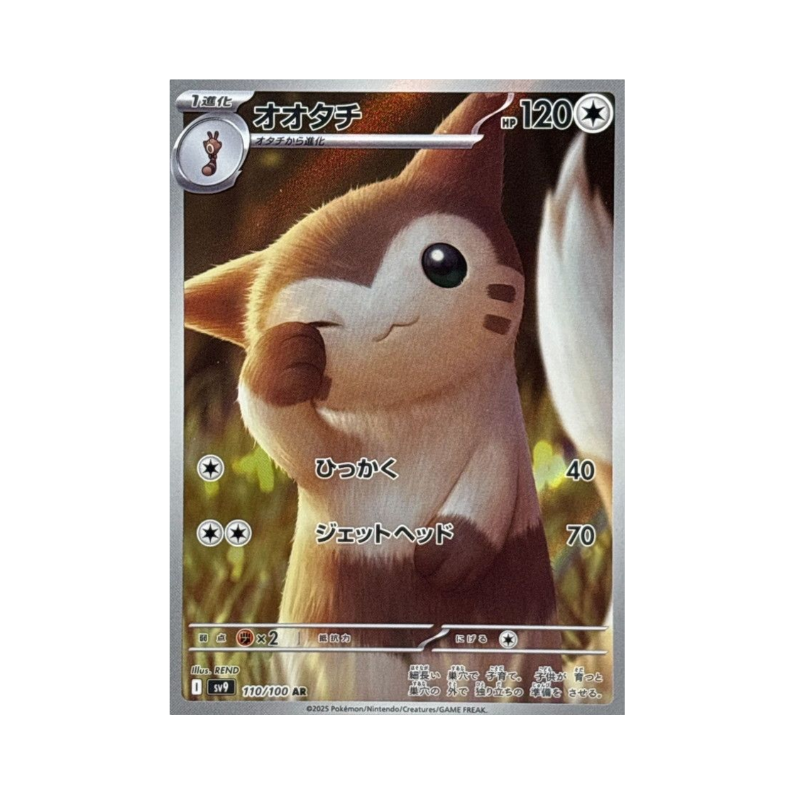 포켓몬 TCG 다꼬리 AR 배틀 파트너즈 (일어판)(Pokemon TCG Furret AR Battle Partners (Japanese Ver.)) - 1