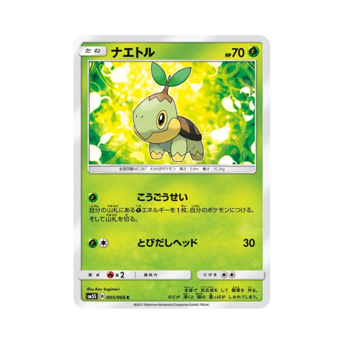 포켓몬 TCG 모부기 C 울트라썬 (일어판)(Pokemon TCG Turtwig C Ultra Sun (Japanese Ver.)) - 1