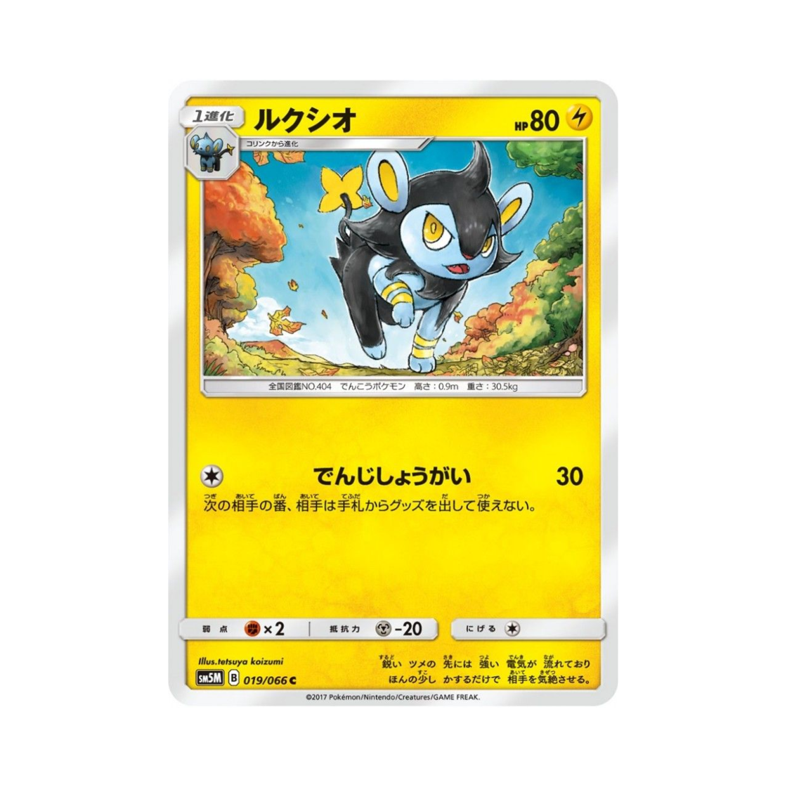 포켓몬 TCG 럭시오 C 울트라문 (일어판)(Pokemon TCG Luxio C Ultra Moon (Japanese Ver.)) - 1
