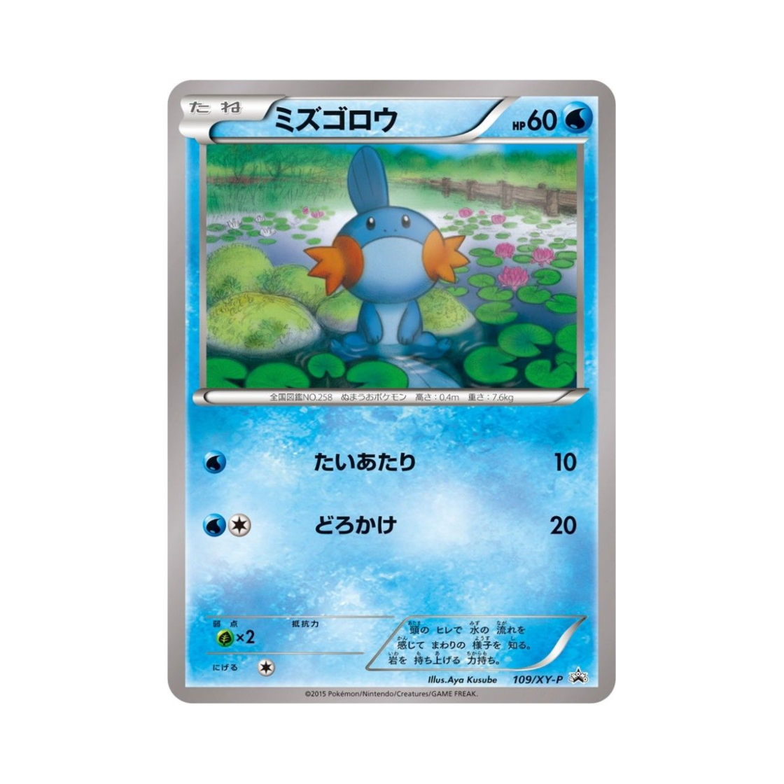 PROMO109-XY-P Pokemon TCG Mudkip P XY Promos (Japanese Ver.)