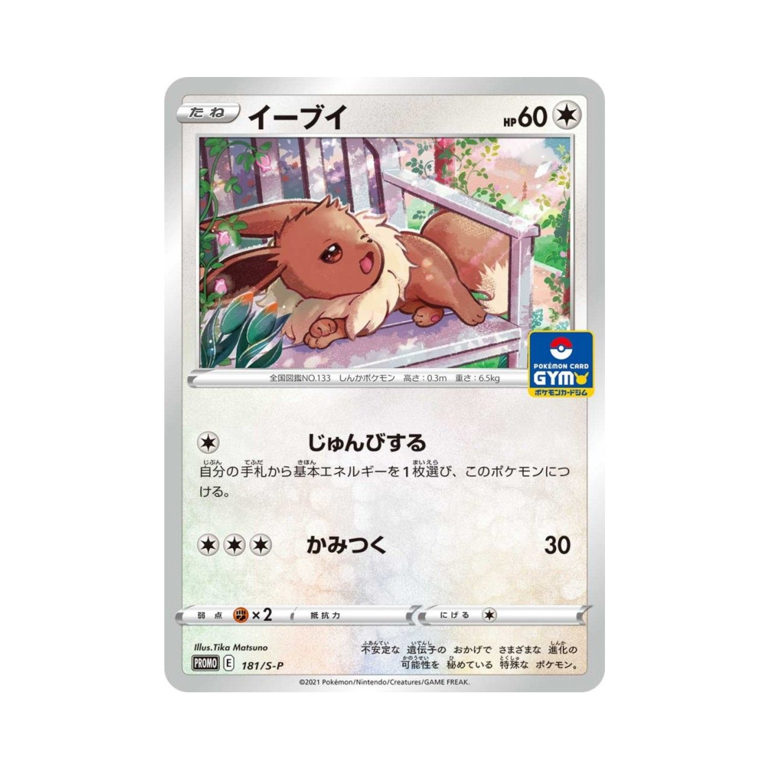 포켓몬 TCG 이브이 P 소드&실드 프로모 카드 (일어판)(Pokemon TCG Eevee P Sword & Shield Promos (Japanese Ver.)) - 1