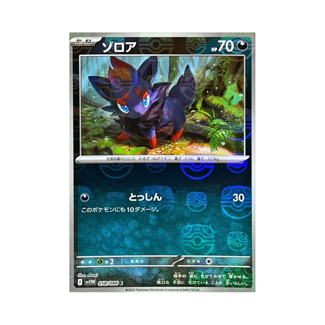 SV11W-058-086MASTERBALLMIRROR Pokemon TCG Zorua C Masterball Mirror White Flare (Japanese Ver.)