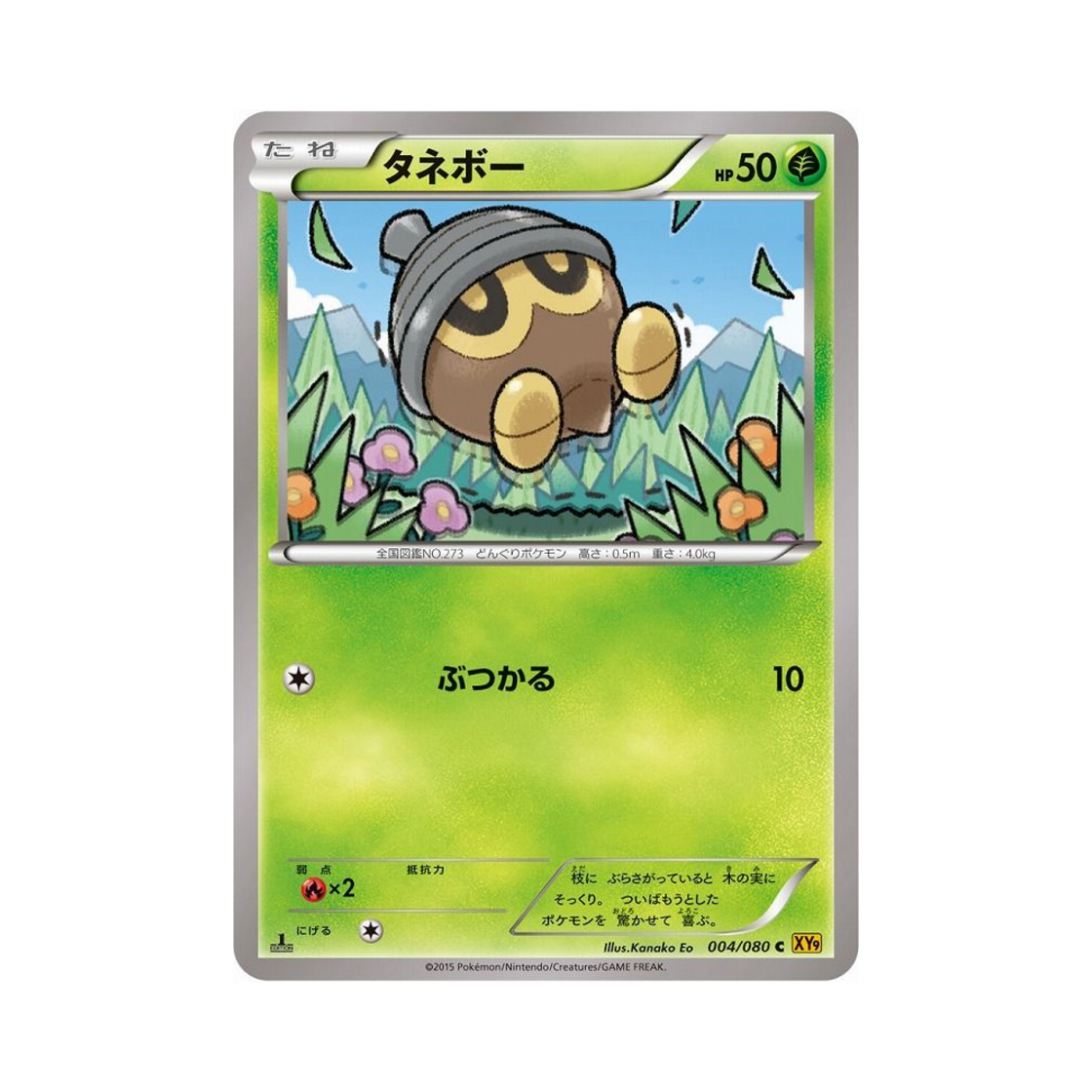 포켓몬 TCG 도토링 C 천공의 분노 퍼스트 에디션 (일어판)(Pokemon TCG Seedot C Rage Of The Torn Heavens 1st Edition (Japanese Ver.)) - 1