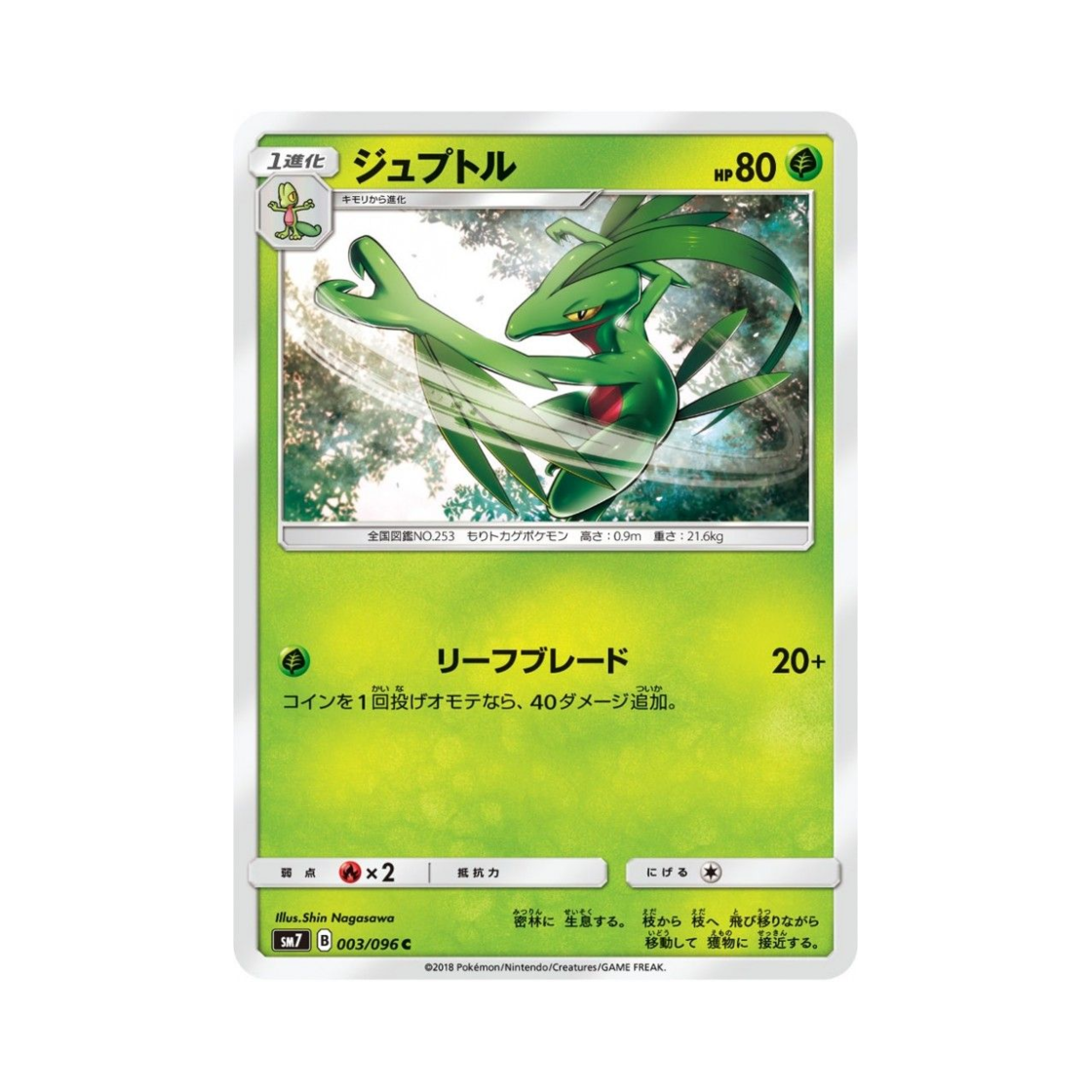 포켓몬 TCG 나무돌이 C 창공의 카리스마 (일어판)(Pokemon TCG Grovyle C Charisma Of The Wrecked Sky (Japanese Ver.)) - 1