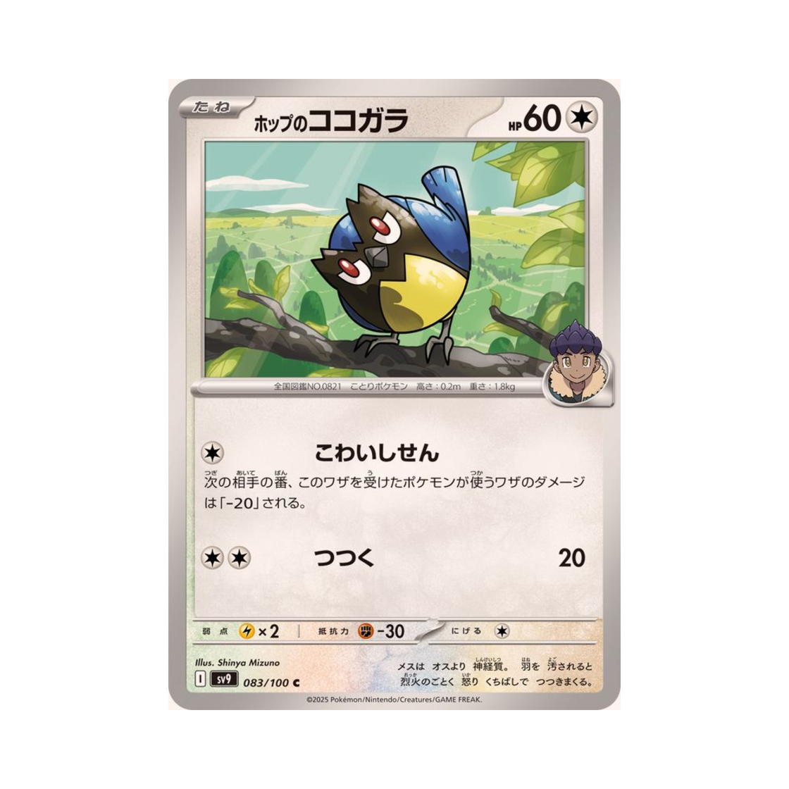 포켓몬 TCG 호브의 파라꼬 C 배틀 파트너즈 (일어판)(Pokemon TCG Hop's Rookidee C Battle Partners (Japanese Ver.)) - 1