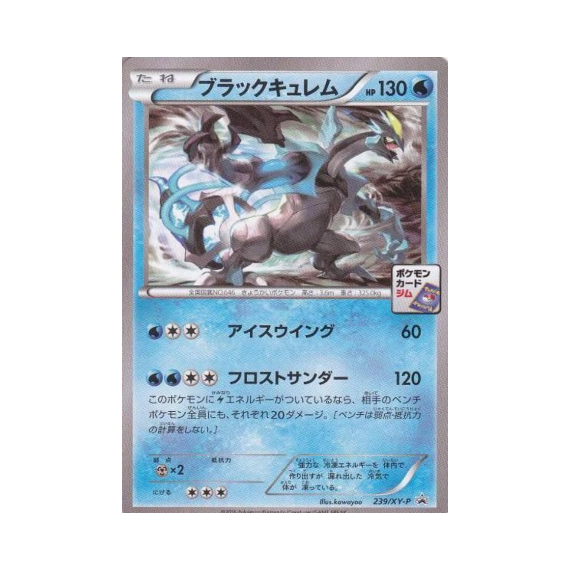포켓몬 TCG 블랙 큐레무 P XY 프로모 카드 (일어판)(Pokemon TCG Black Kyurem P XY Promos (Japanese Ver.)) - 1