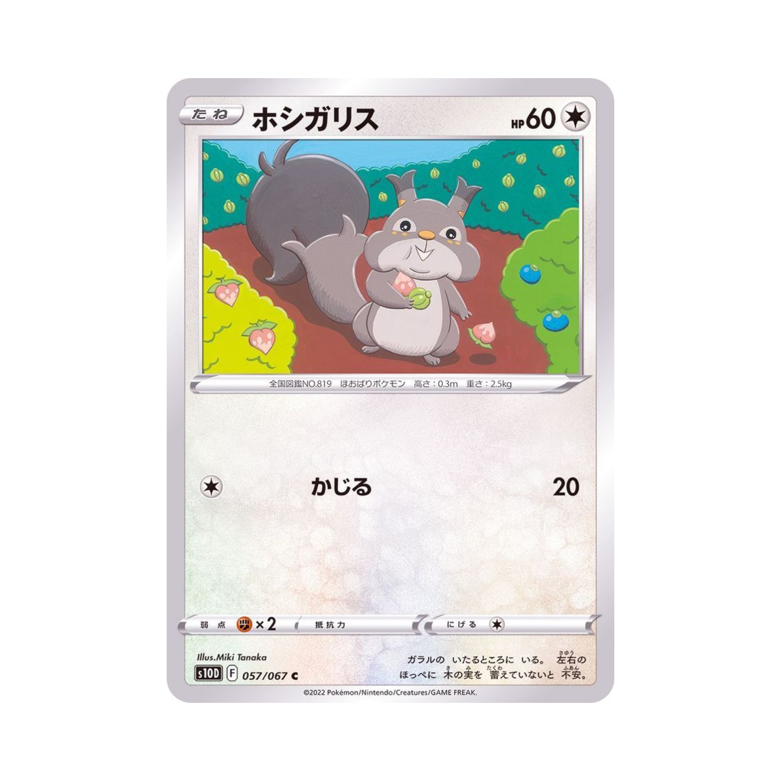 포켓몬 TCG 탐리스 C 타임게이저 (일어판)(Pokemon TCG Skwovet C Time Gazer (Japanese Ver.)) - 1