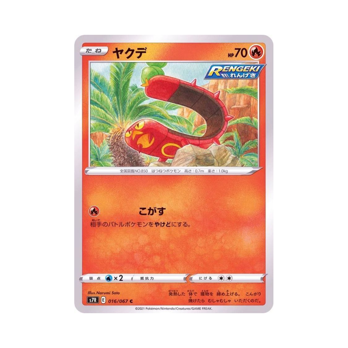 포켓몬 TCG 태우지네 C 창공스트림 (일어판)(Pokemon TCG Sizzlipede C Blue Sky Stream (Japanese Ver.)) - 1