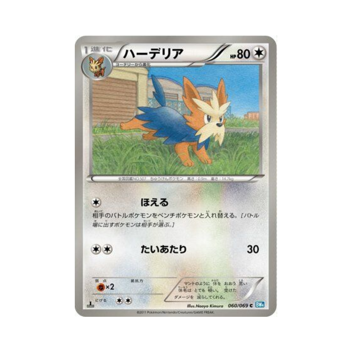 포켓몬 TCG 하데리어 C 다크러시 퍼스트 에디션 (일어판)(Pokemon TCG Herdier C Dark Rush 1st Edition (Japanese Ver.)) - 1