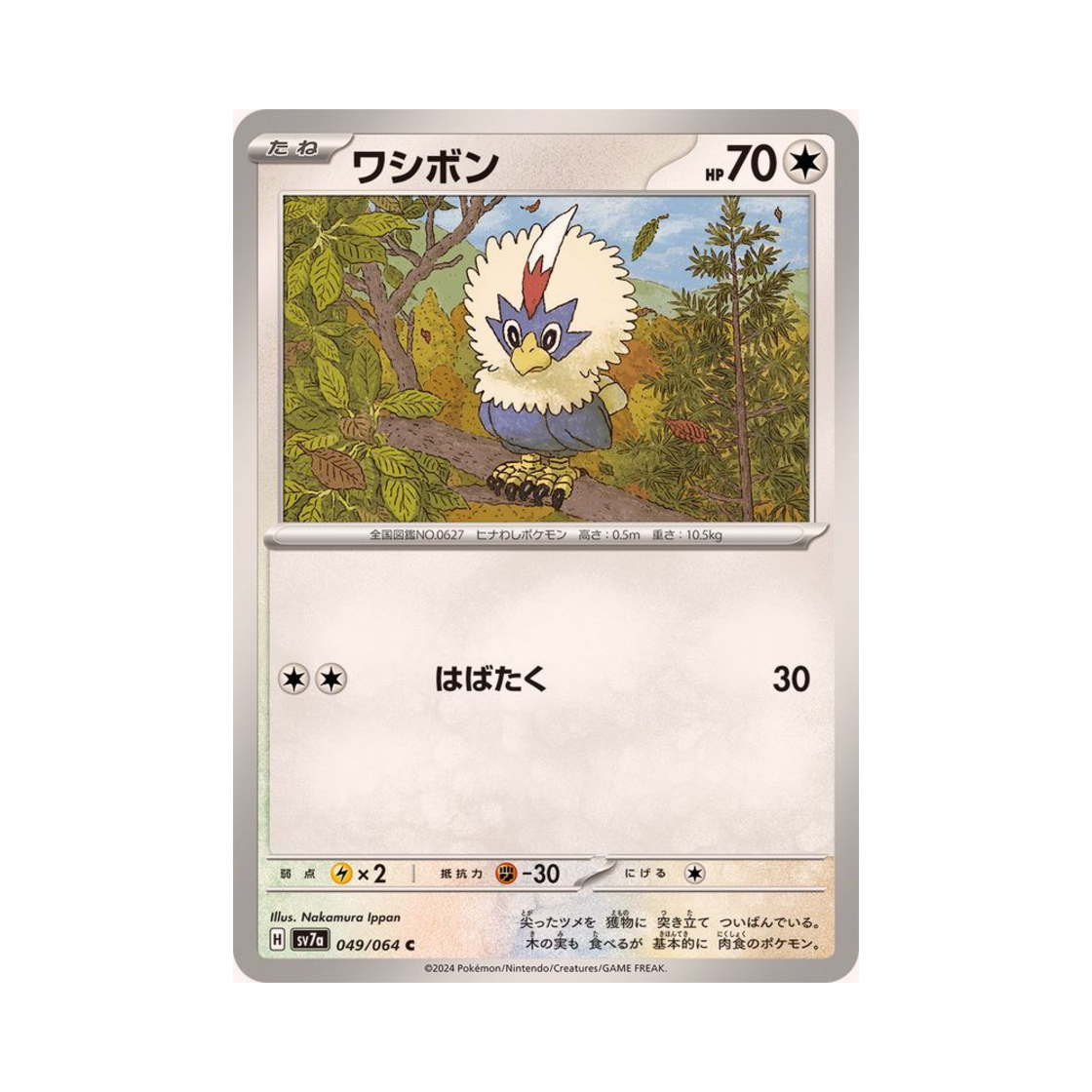 포켓몬 TCG 수리둥보 C 낙원드래고나 (일어판)(Pokemon TCG Rufflet C Paradise Dragona (Japanese Ver.)) - 1