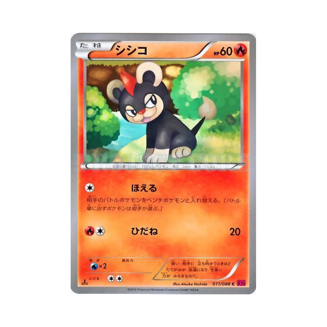 포켓몬 TCG 레오꼬 C 팬텀게이트 퍼스트 에디션 (일어판)(Pokemon TCG Litleo C Phantom Gate 1st Edition (Japanese Ver.))