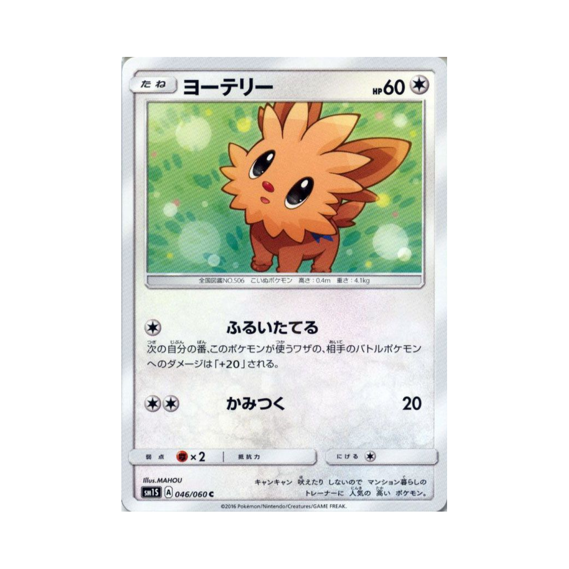 포켓몬 TCG 요테리 C 썬 컬렉션 (일어판)(Pokemon TCG Lillipup C Collection Sun (Japanese Ver.)) - 1
