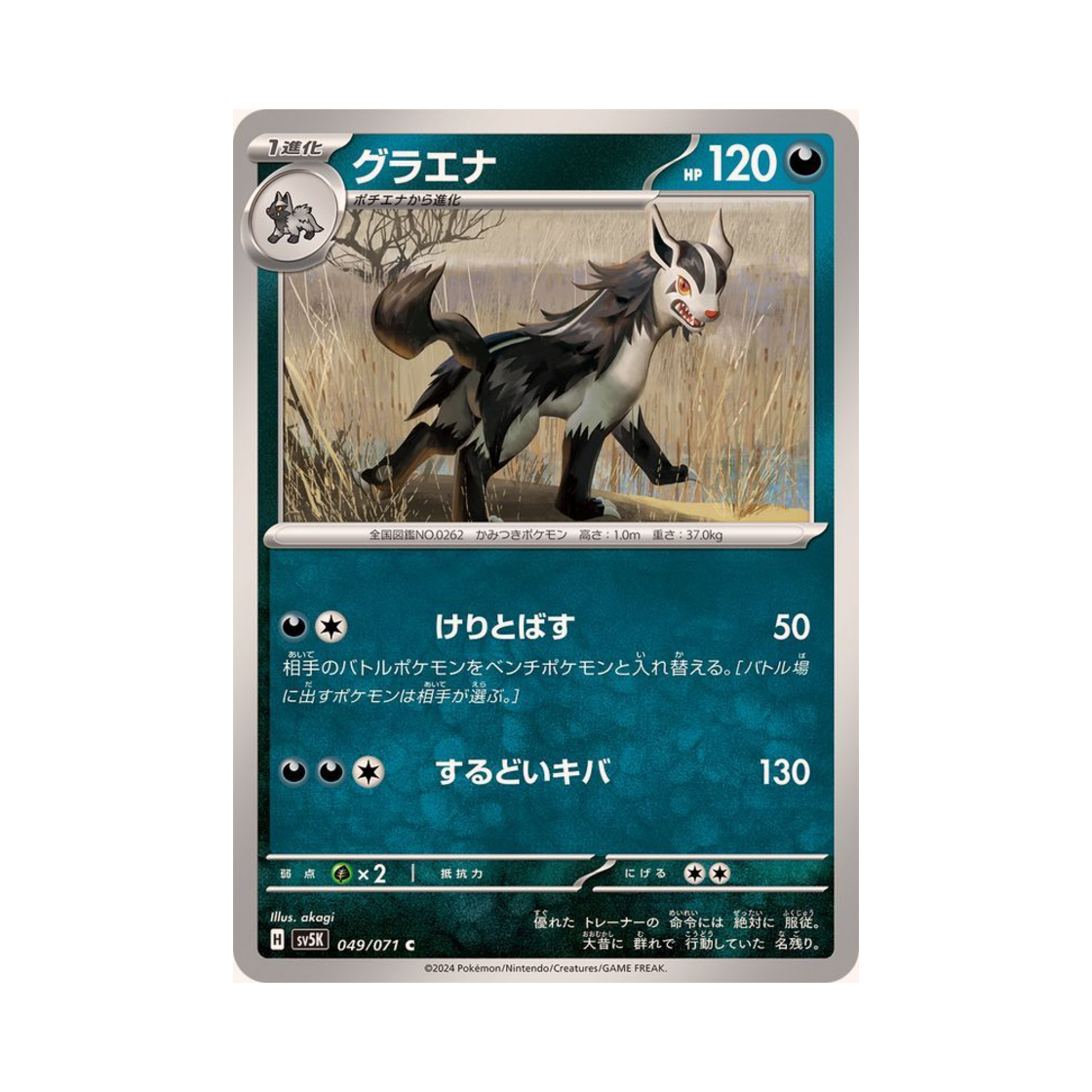 포켓몬 TCG 그라에나 C 와일드 포스 (일어판)(Pokemon TCG Mightyena C Wild Force (Japanese Ver.)) - 1