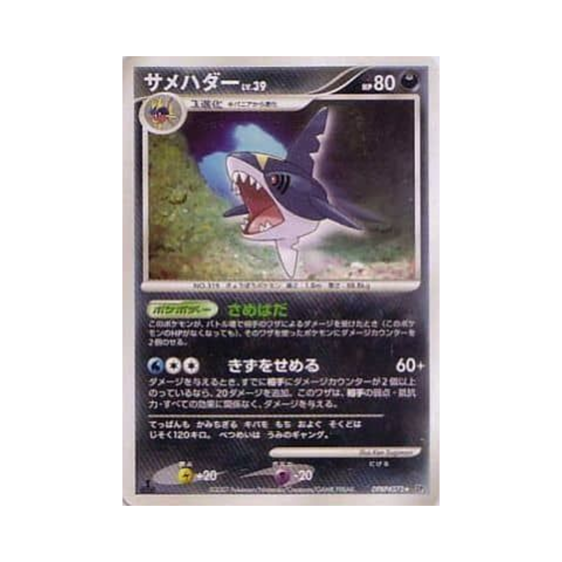 포켓몬 TCG 샤크니아 R 샤이닝 다크니스 (일어판)(Pokemon TCG Sharpedo R Shining Darkness (Japanese Ver.)) - 1