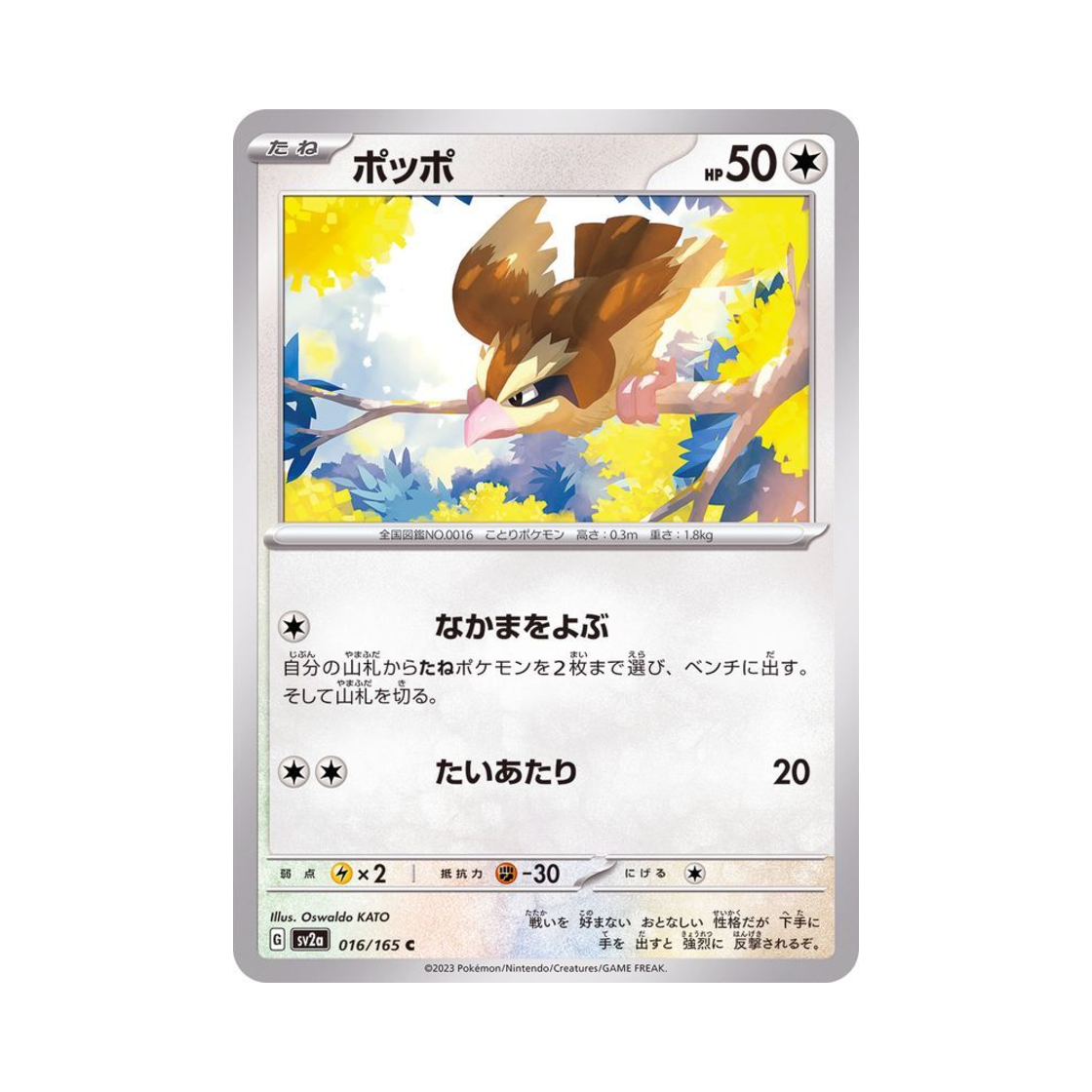 포켓몬 TCG 구구 C 포켓몬 카드 151 (일어판)(Pokemon TCG Pidgey C Pokemon Card 151 (Japanese Ver.)) - 1