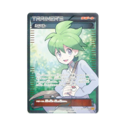 Pokemon TCG Wally SR Emerald Break 1st Edition (Japanese Ver.)