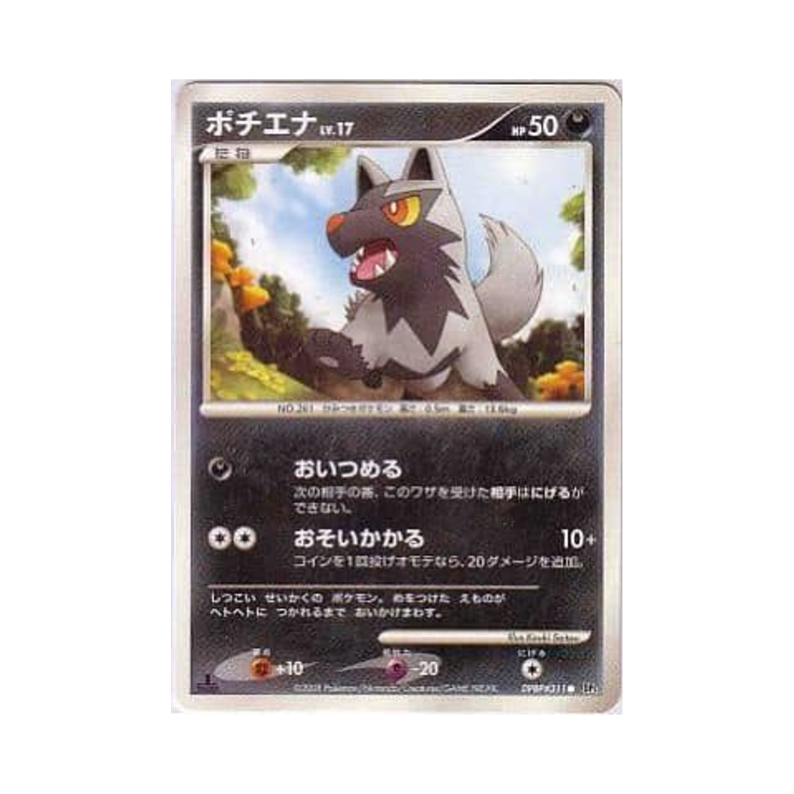 포켓몬 TCG 포챠나 C 크라이 프럼 더 미스터리어스 (일어판)(Pokemon TCG Poochyena C Cry From The Mysterious (Japanese Ver.)) - 1