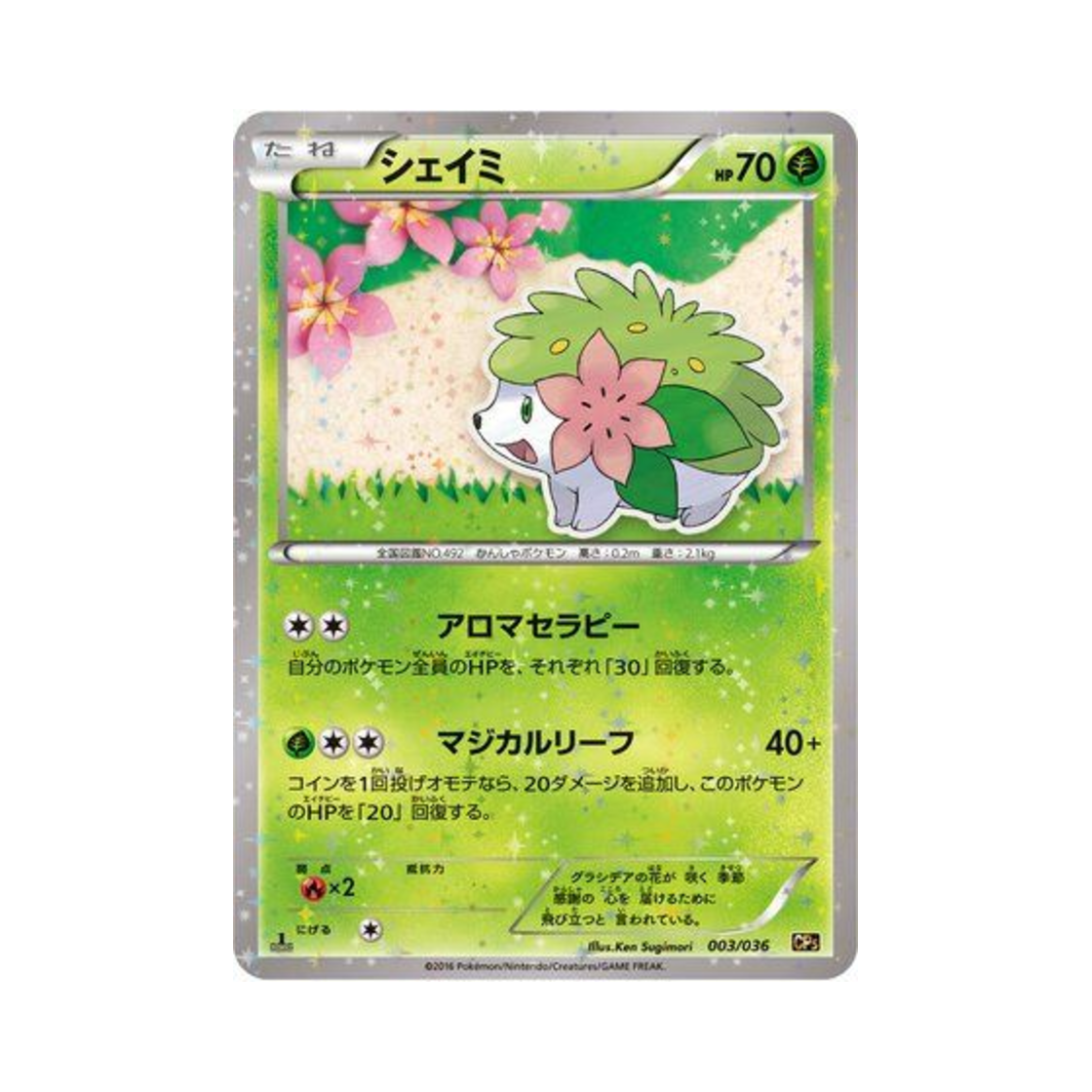 포켓몬 TCG 쉐이미 환상 전설 드림 컬렉션 퍼스트 에디션 (일어판)(Pokemon TCG Shaymin Mythical & Legendary Dream Shine Collection 1st Edition (Japanese Ver.)) - 1