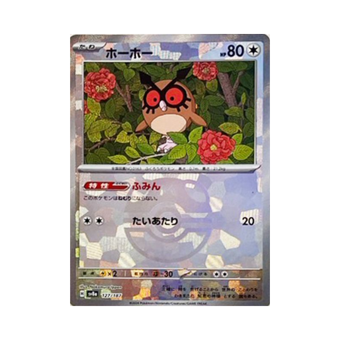 포켓몬 TCG 부우부 마스터볼 미러 테라스탈 페스타 ex (일어판)(Pokemon TCG Hoothoot Masterball Mirror Terastal Fest ex (Japanese Ver.)) - 1