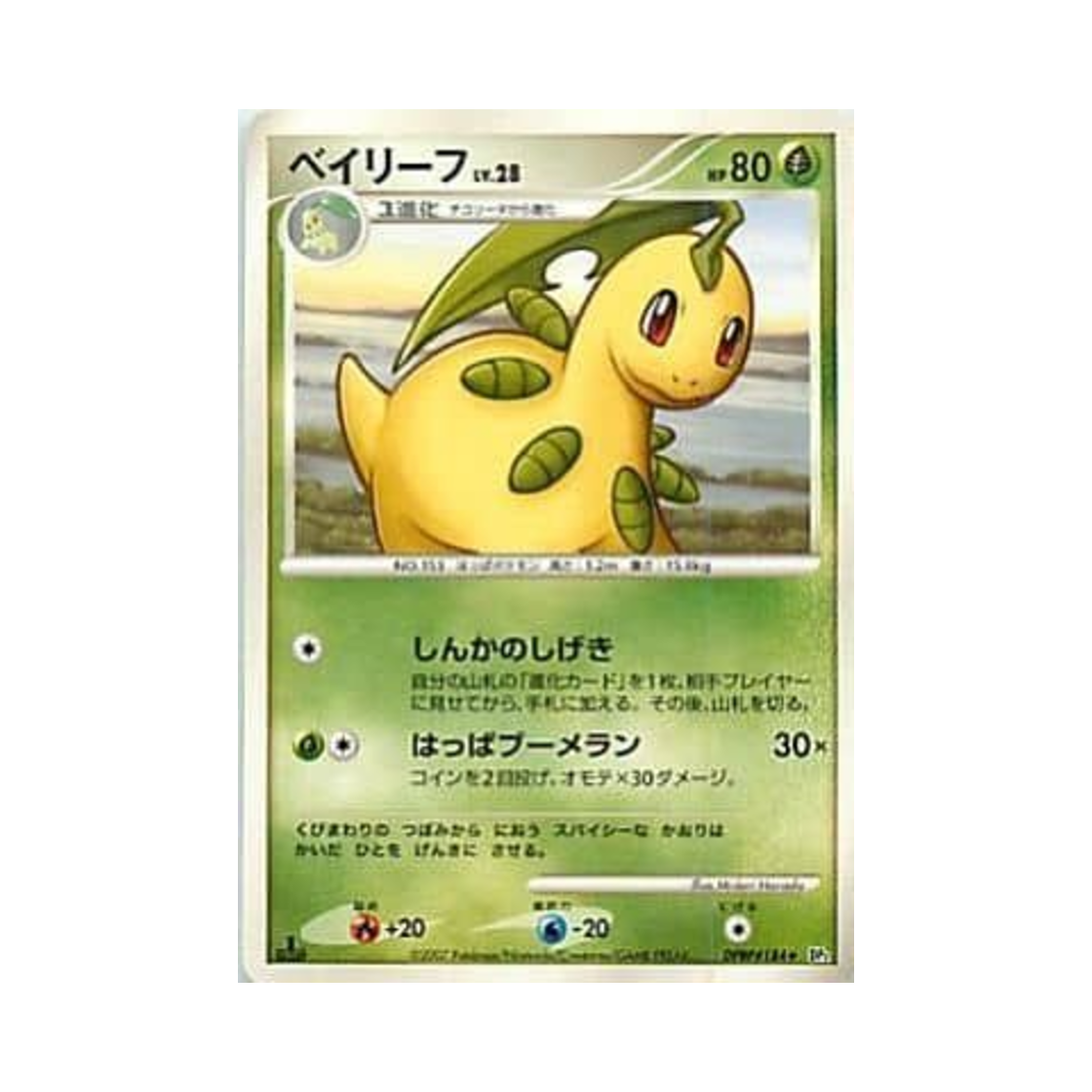 포켓몬 TCG 베이리프 U 시크릿 오브 더 레이크 (일어판)(Pokemon TCG Bayleef U Secret of the Lakes (Japanese Ver.)) - 1