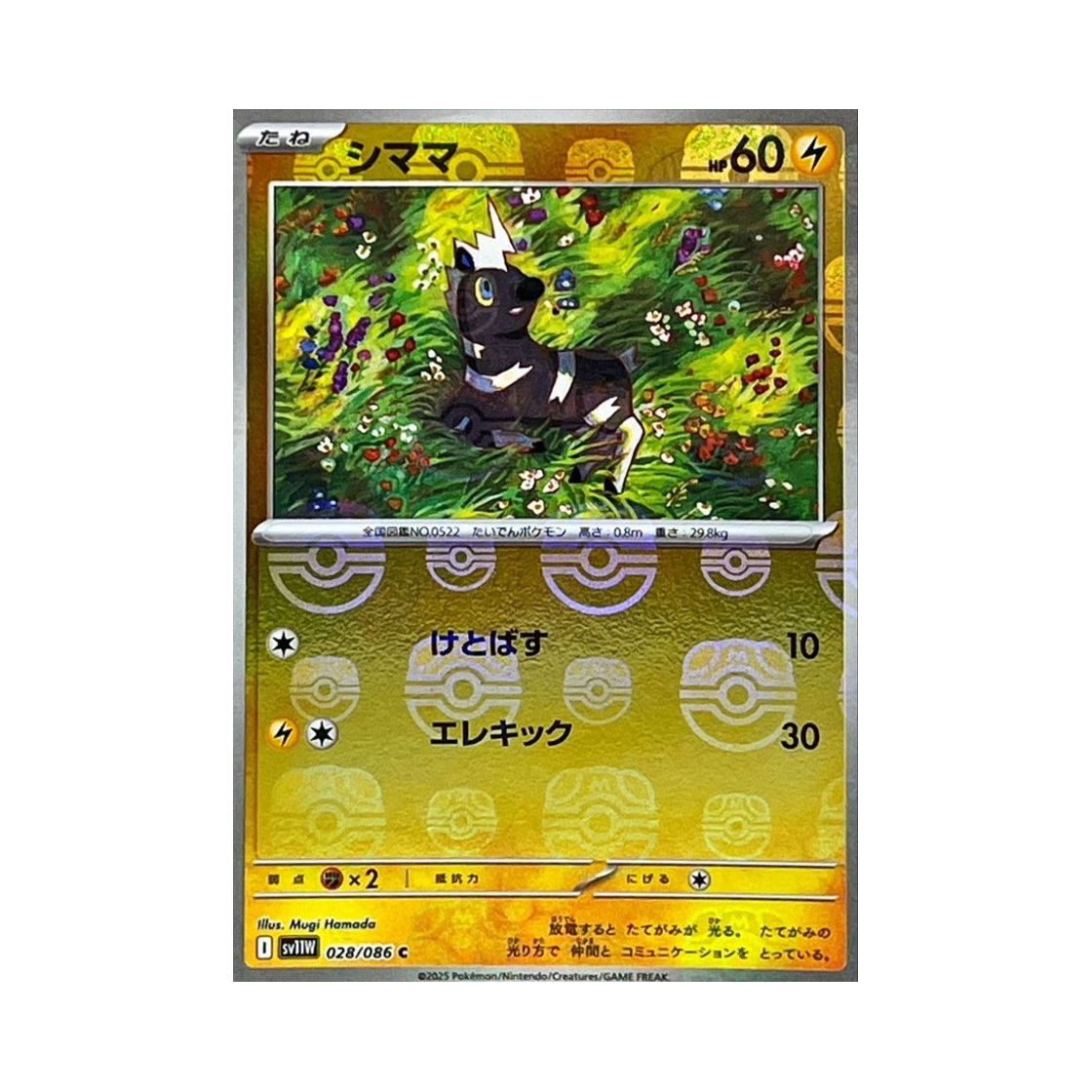 포켓몬 TCG 줄뮤마 C 마스터볼 미러 화이트 플레어 (일어판)(Pokemon TCG Blitzle C Masterball Mirror White Flare (Japanese Ver.)) - 1