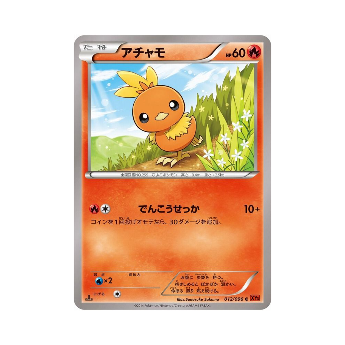 포켓몬 TCG 아차모 C 라이징피스트 퍼스트 에디션 (일어판)(Pokemon TCG Torchic C Rising Fist 1st Edition (Japanese Ver.)) - 1