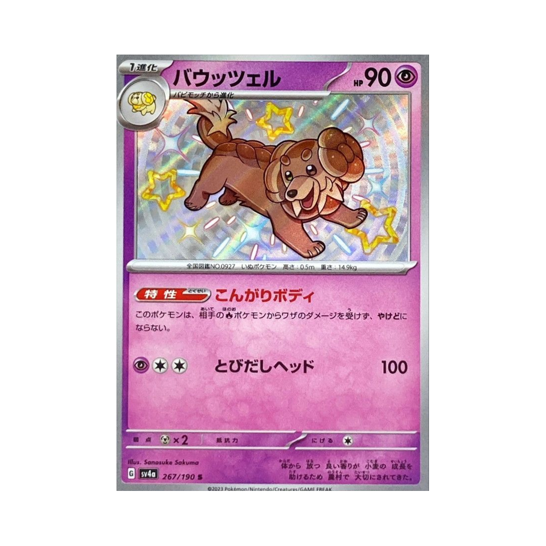 포켓몬 TCG 바우첼 S 샤이니 트레져 ex (일어판)(Pokemon TCG Dachsbun S Shiny Treasure ex (Japanese Ver.)) - 1