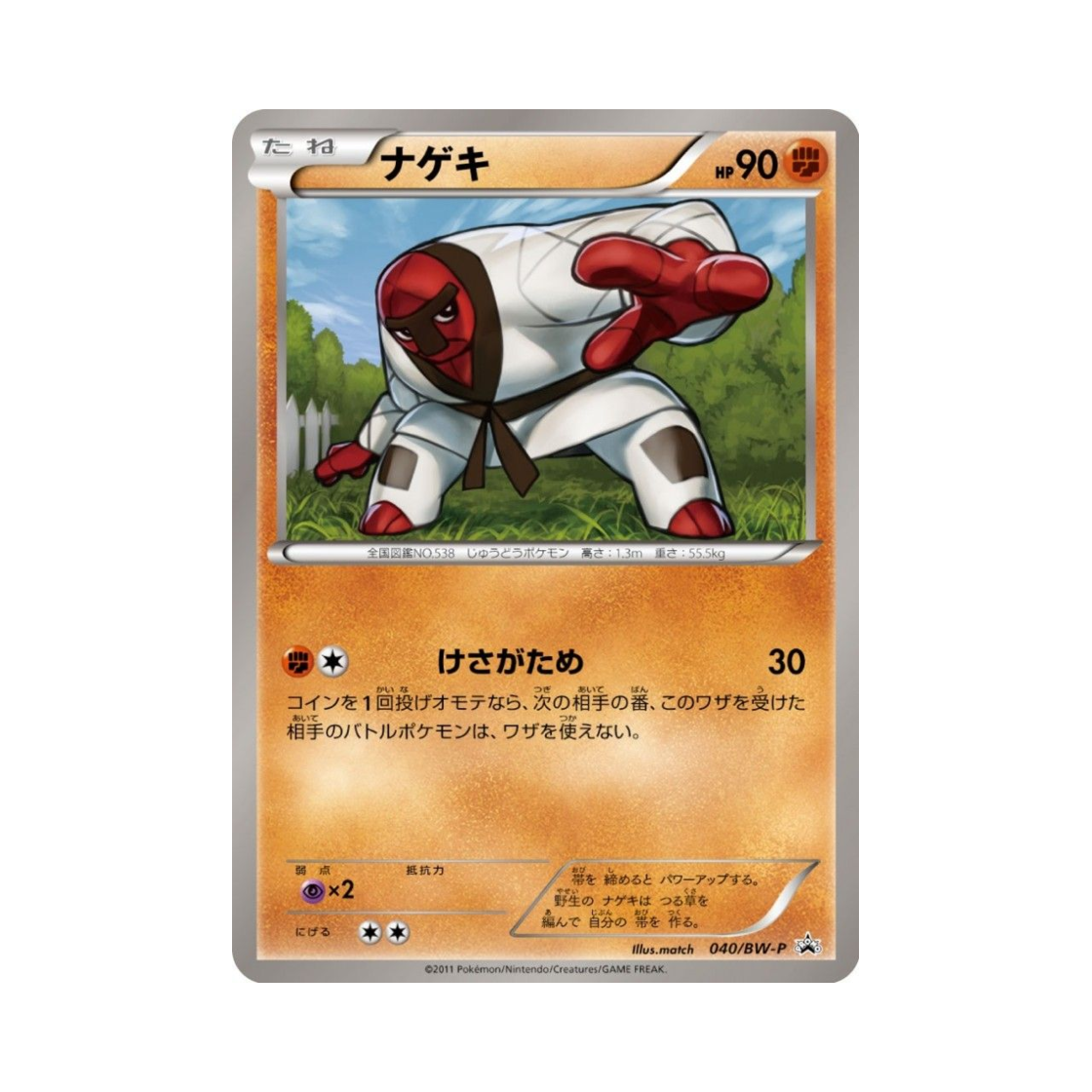 포켓몬 TCG 던지미 P 블랙 & 화이트 프로모카드 (일어판)(Pokemon TCG Throh P Black & White Promos (Japanese Ver.)) - 1