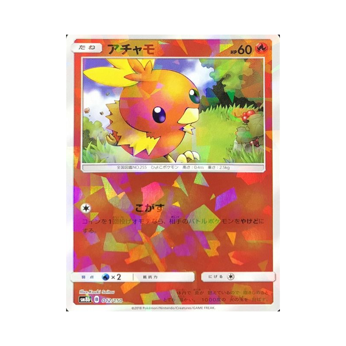 포켓몬 TCG 아차모 미러 GX 울트라샤이니 (일어판)(Pokemon TCG Torchic Mirror Gx Ultra Shiny (Japanese Ver.)) - 1