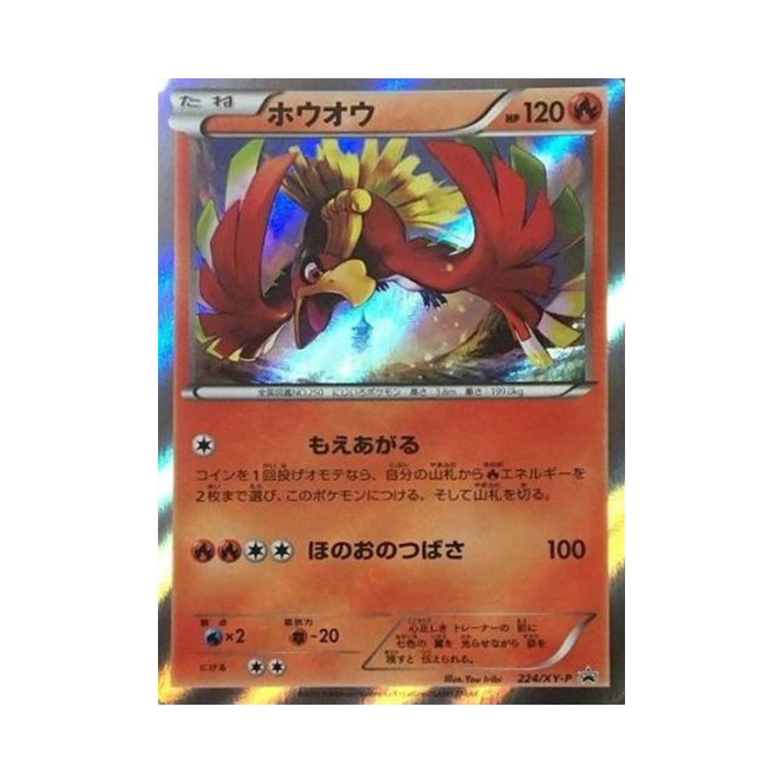 PROMO224-XY-P Pokemon TCG Ho-Oh P XY Promos (Japanese Ver.)