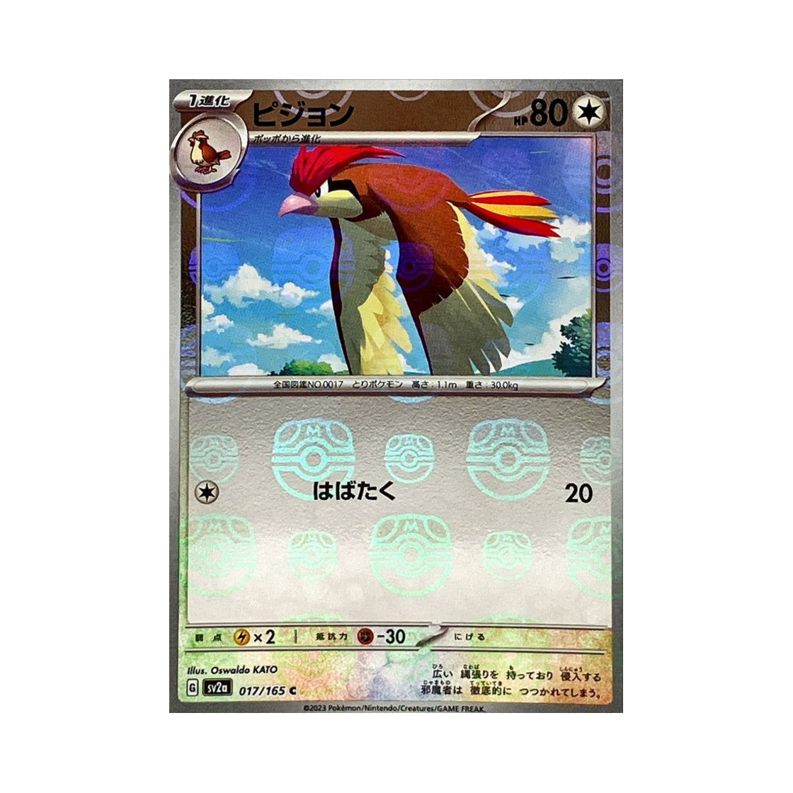 SV2A-017-165MASTERBALLMIRROR Pokemon TCG Pidgeotto C Masterball Mirror Pokemon Card 151 (Japanese Ver.)