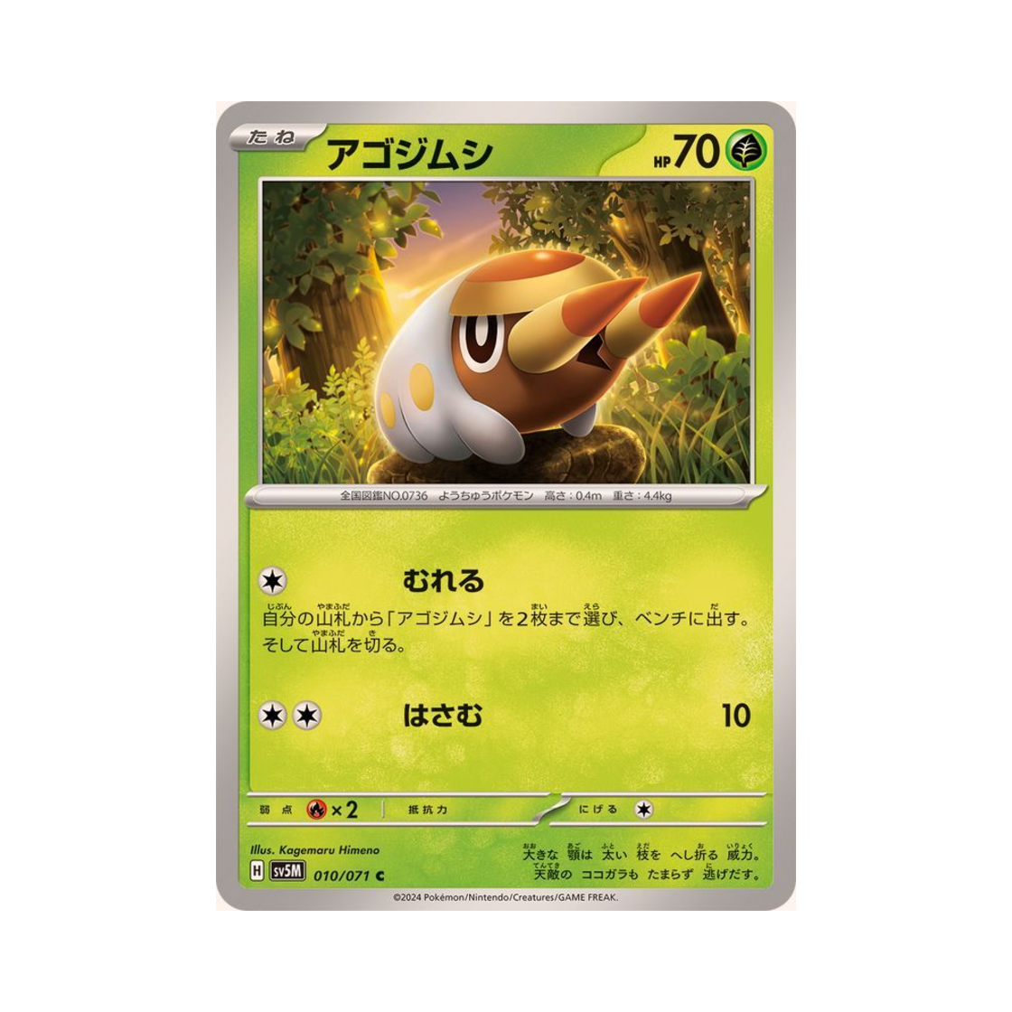 포켓몬 TCG 턱지충이 C 사이버저지 (일어판)(Pokemon TCG Grubbin C Cyber Judge (Japanese Ver.)) - 1