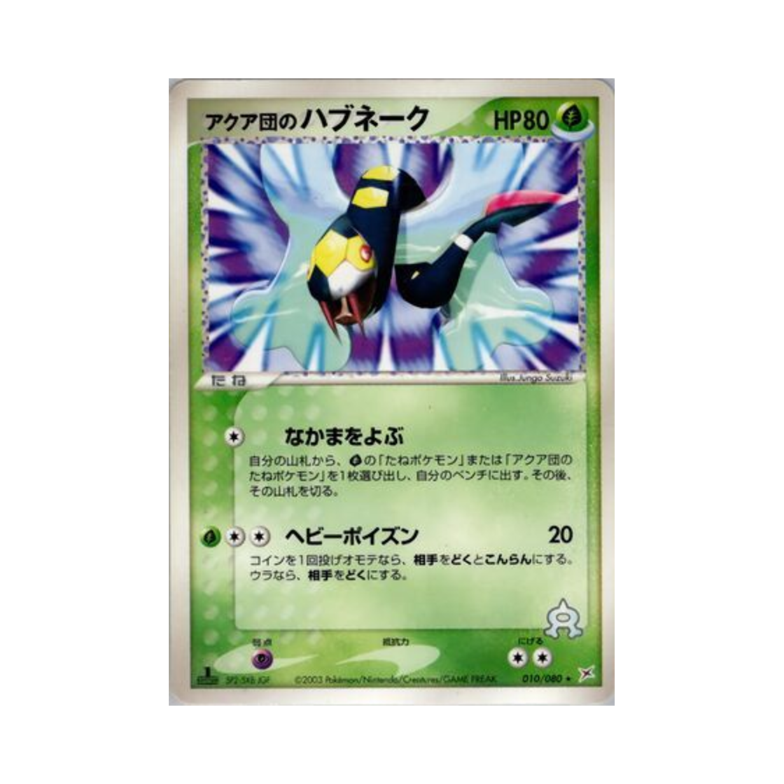 포켓몬 TCG 아쿠아단의 세비퍼 R 마그마 VS 아쿠아: 두 야망(일어판)(Pokemon TCG Team Aqua's Seviper R Magma Vs Aqua: Two Ambitions (Japanese Ver.))