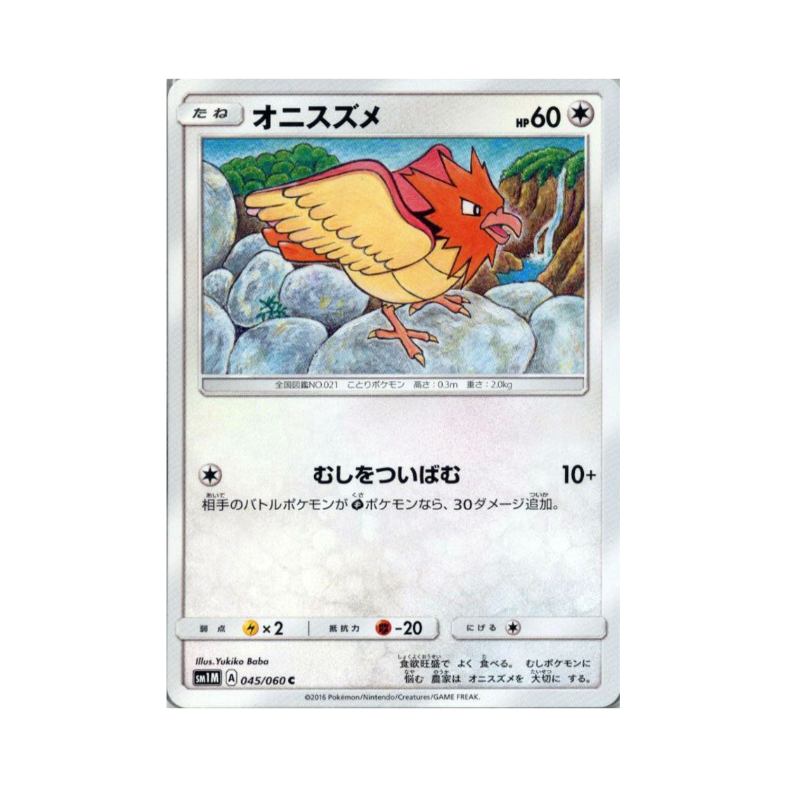 포켓몬 TCG 깨비참 C 문 컬렉션 (일어판)(Pokemon TCG Spearow C Collection Moon (Japanese Ver.)) - 1