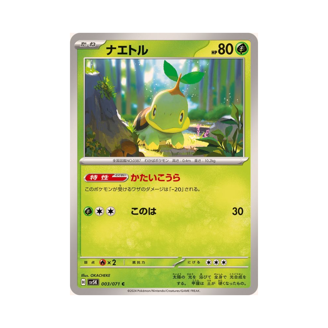포켓몬 TCG 모부기 C 와일드 포스 (일어판)(Pokemon TCG Turtwig C Wild Force (Japanese Ver.)) - 1