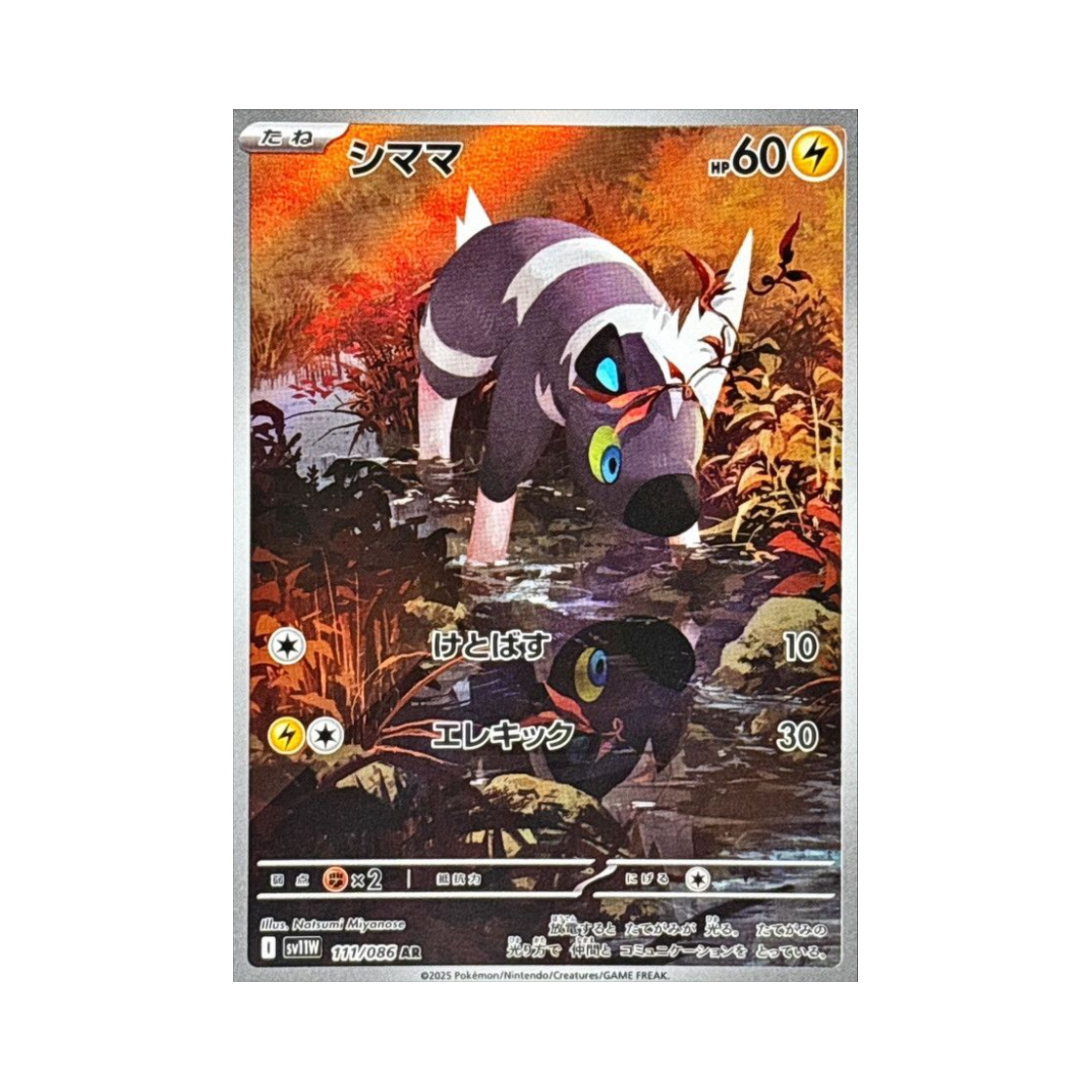 포켓몬 TCG 줄뮤마 AR 화이트 플레어 (일어판)(Pokemon TCG Blitzle AR White Flare (Japanese Ver.))