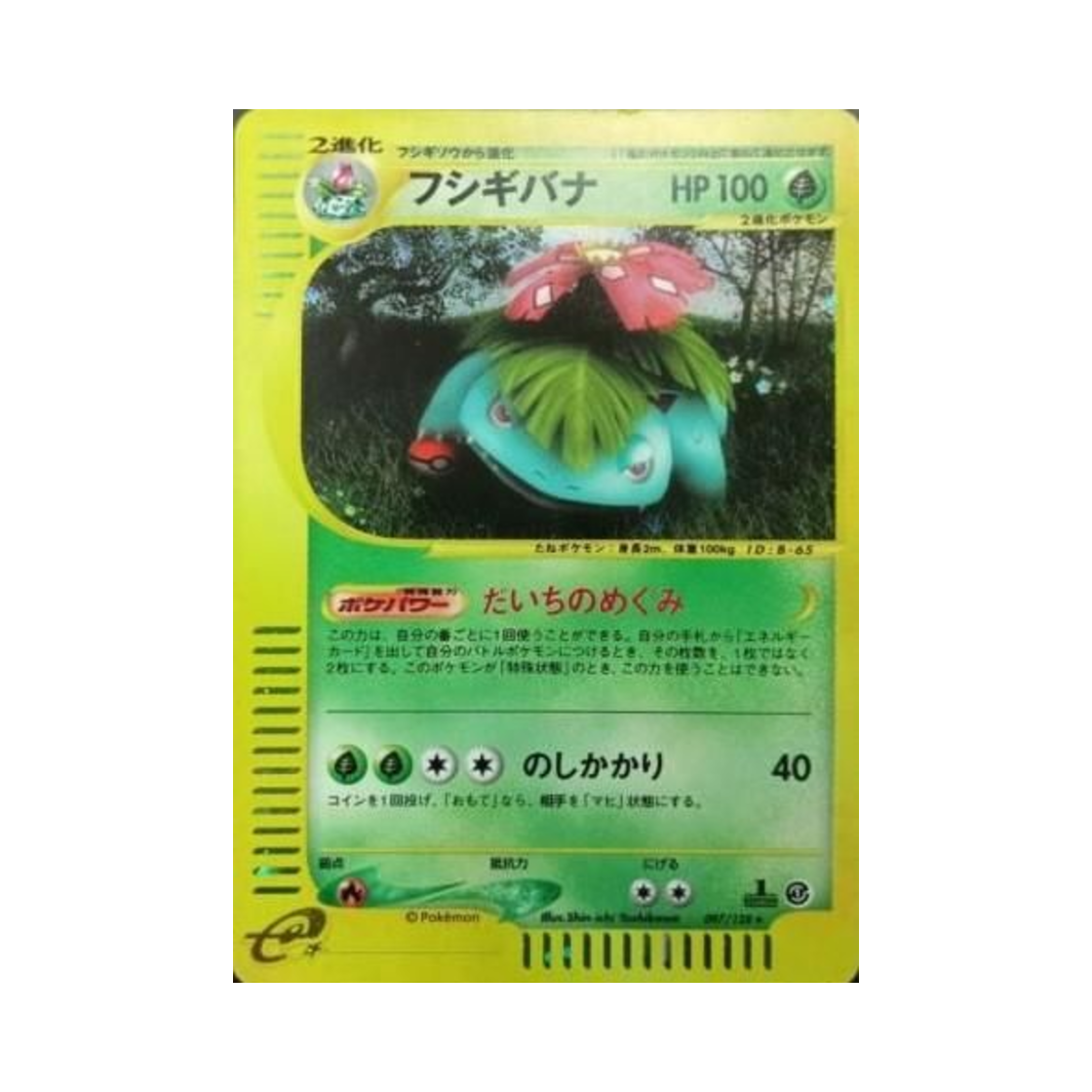 포켓몬 TCG 이상해꽃 R 베이스 익스펜션 팩 (일어판)(Pokemon TCG Venusaur R Base Expansion Pack (Japanese Ver.))