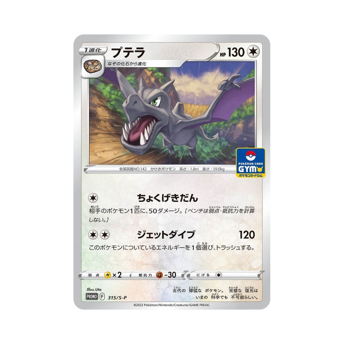 포켓몬 TCG 프테라 P 소드&실드 프로모 카드 (일어판)(Pokemon TCG Aerodactyl P Sword & Shield Promos (Japanese Ver.)) - 1