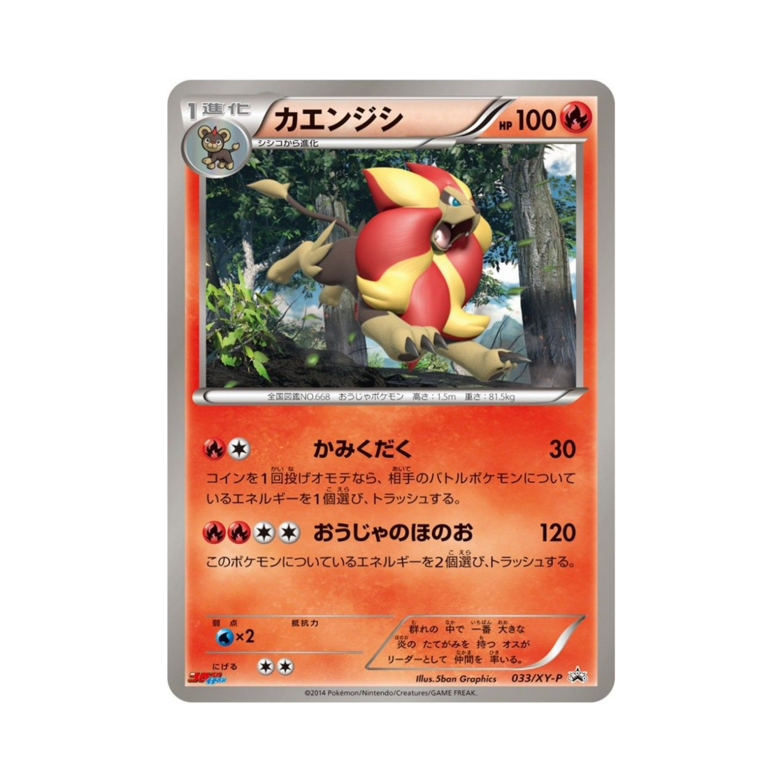 포켓몬 TCG 화염레오 P XY 프로모 카드 (일어판)(Pokemon TCG Pyroar P XY Promos (Japanese Ver.))