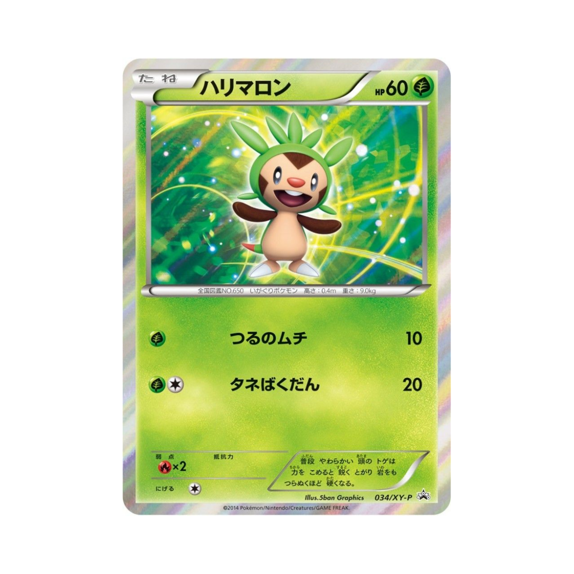 PROMO034-XY-P Pokemon TCG Chespin P XY Promos (Japanese Ver.)