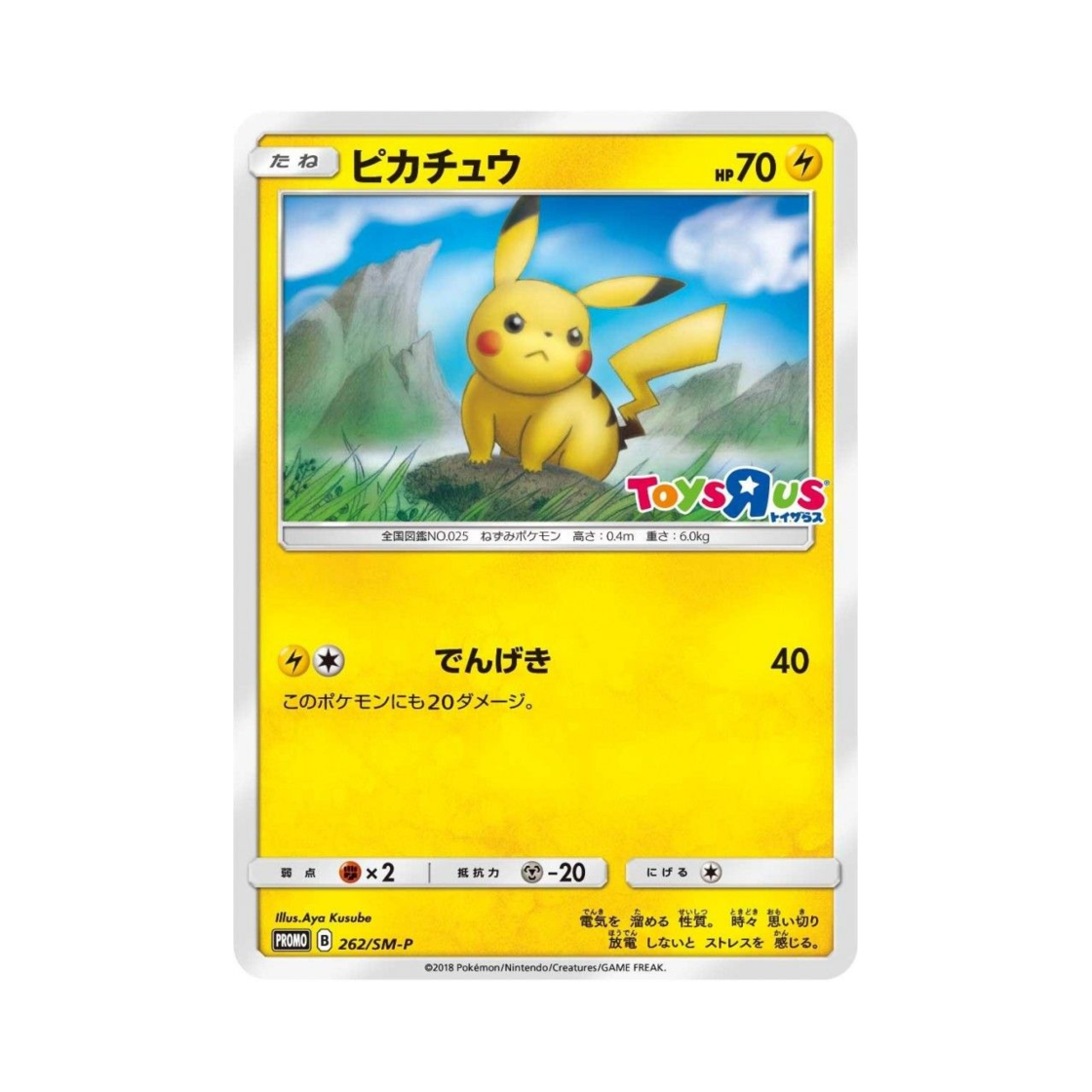 PROMO262-SM-P Pokemon TCG Pikachu P Sun & Moon Promos (Japanese Ver.)