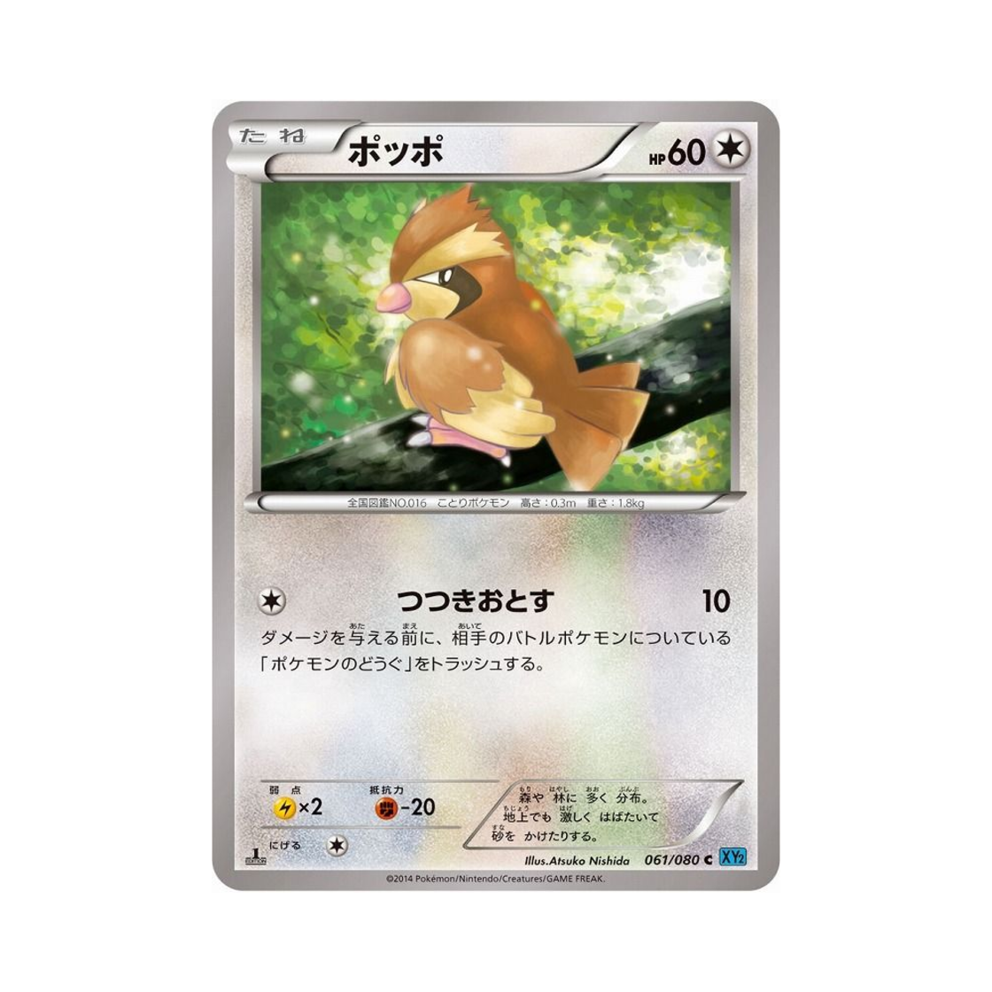 XY2-061-080 Pokemon TCG Pidgey C Wild Blaze 1st Edition (Japanese Ver.)