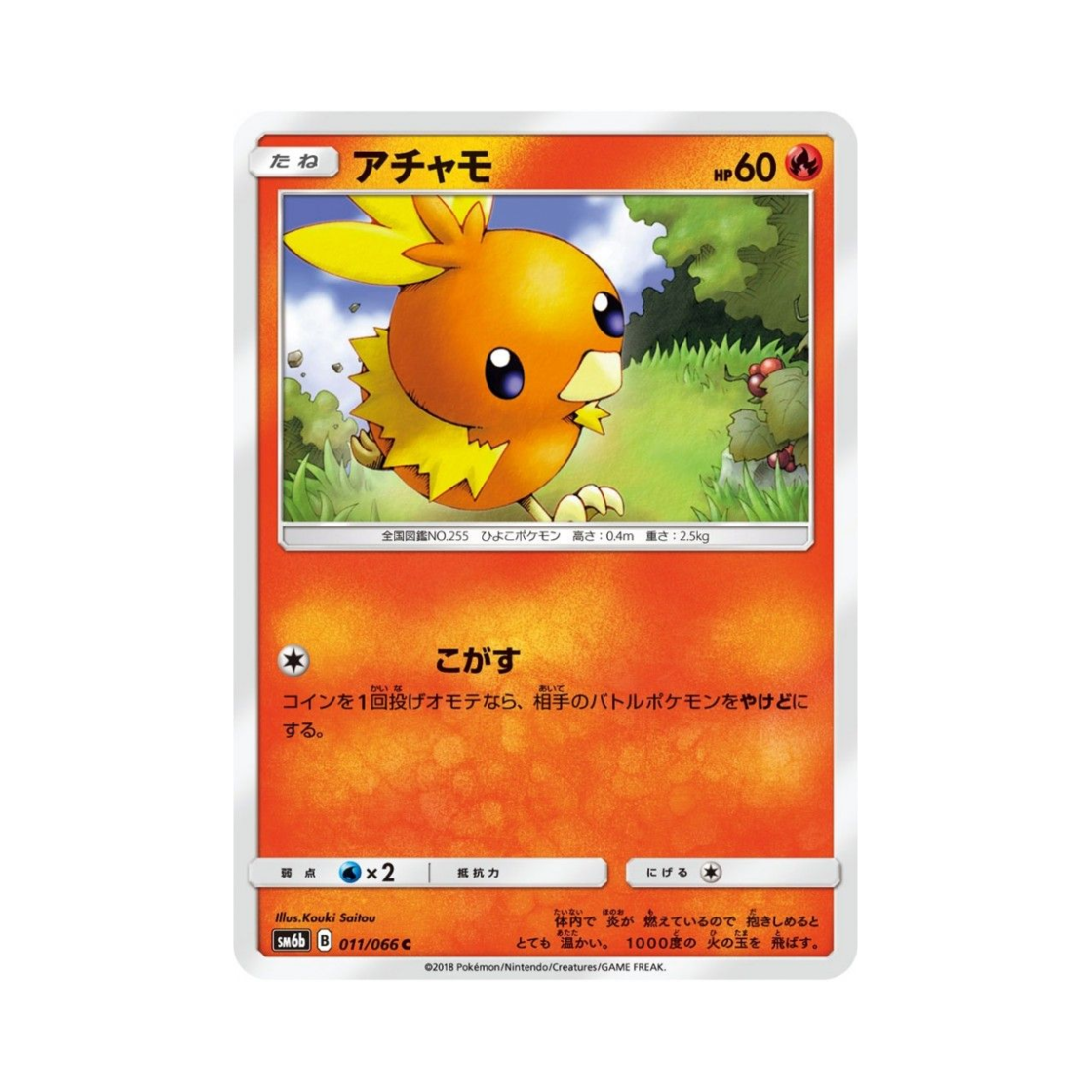 포켓몬 TCG 아차모 C 챔피언로드 (일어판)(Pokemon TCG Torchic C Champion Road (Japanese Ver.)) - 1