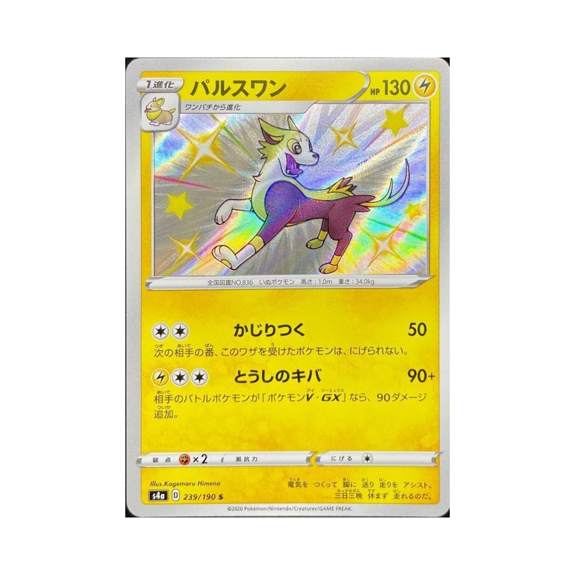 포켓몬 TCG 펄스멍 S 샤이니스타 V (일어판)(Pokemon TCG Boltund S Shiny Star V (Japanese Ver.)) - 1
