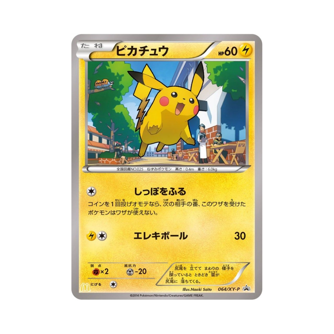 PROMO064-XY-PMAC Pokemon TCG Pikachu P XY Promos (Japanese Ver.)