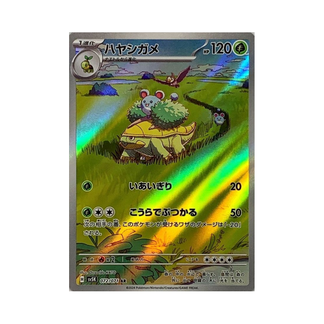 포켓몬 TCG 수풀부기 AR 와일드 포스 (일어판)(Pokemon TCG Grotle AR Wild Force (Japanese Ver.))