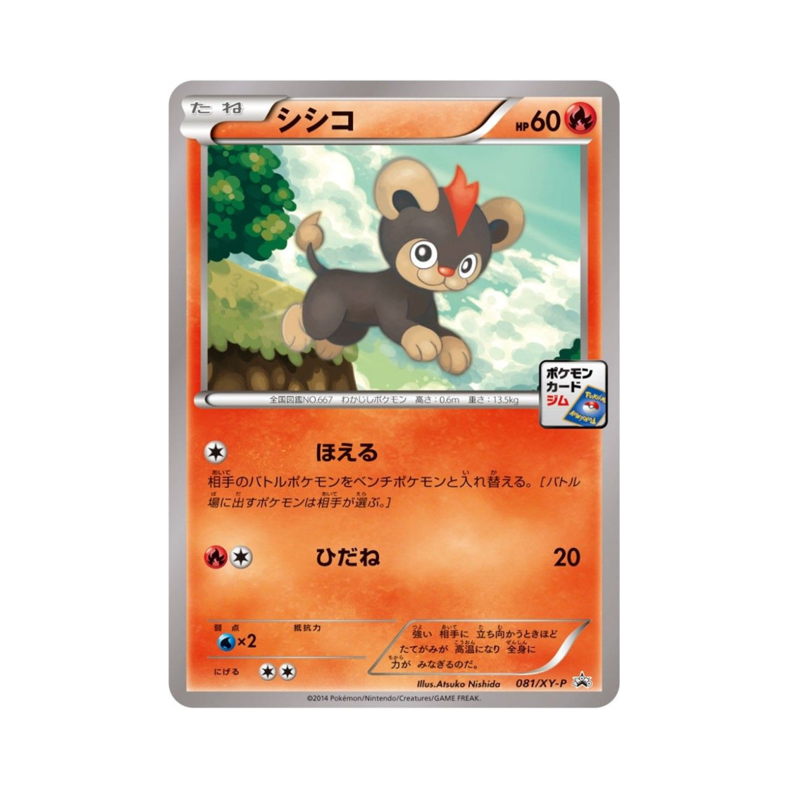 포켓몬 TCG 레오꼬 P XY 프로모 카드 (일어판)(Pokemon TCG Litleo P XY Promos (Japanese Ver.)) - 1