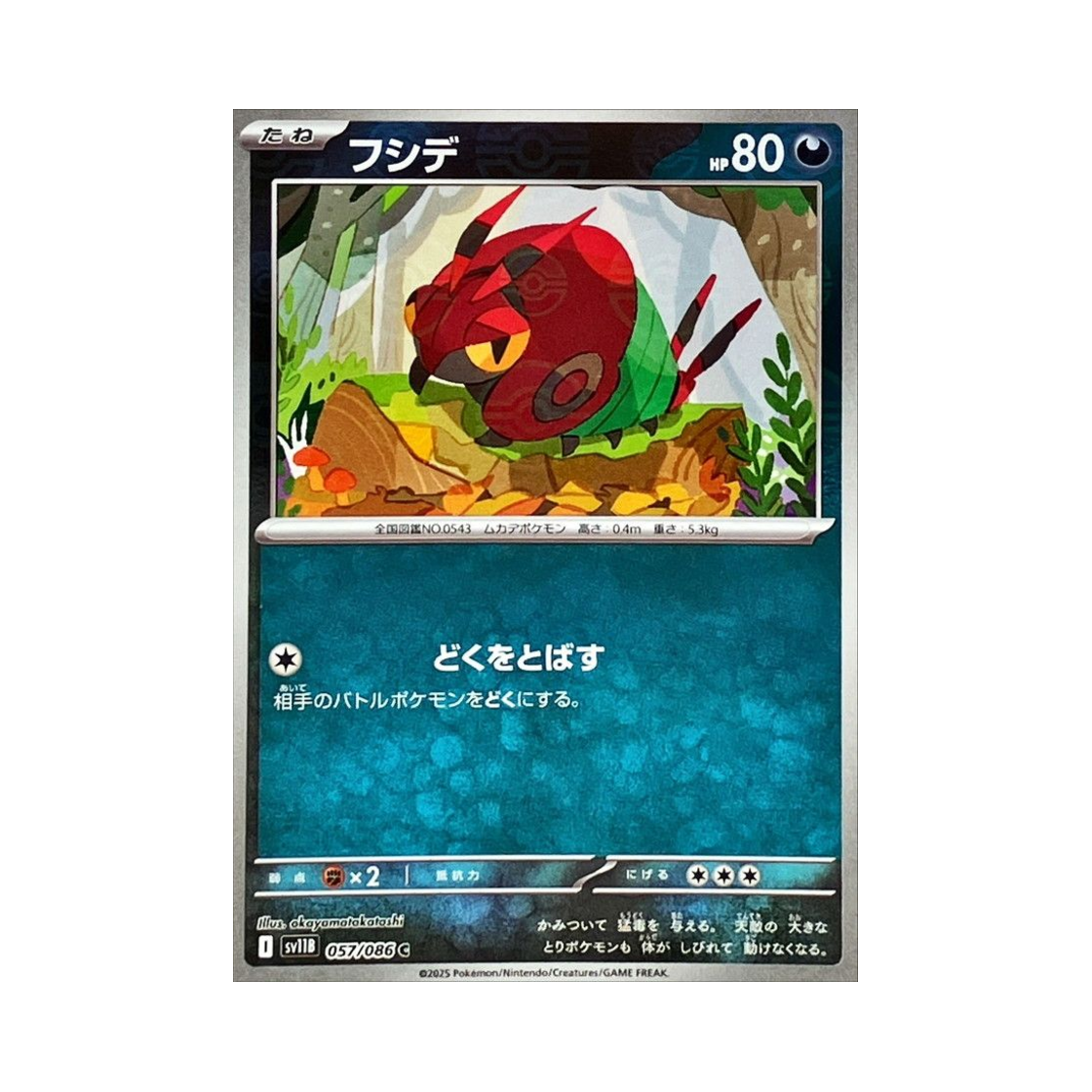 포켓몬 TCG 마디네 C 몬스터볼 미러 블랙 볼트 (일어판)(Pokemon TCG Venipede C Monsterball Mirror Black Bolt (Japanese Ver.)) - 1